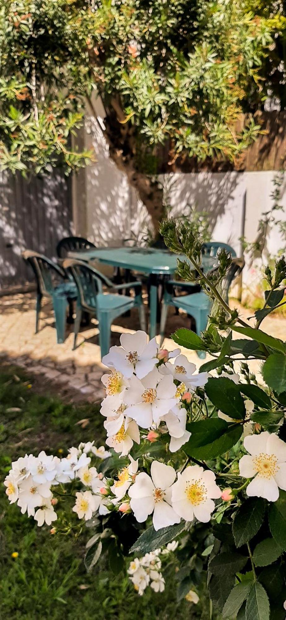Boas House Caparica 2 *
